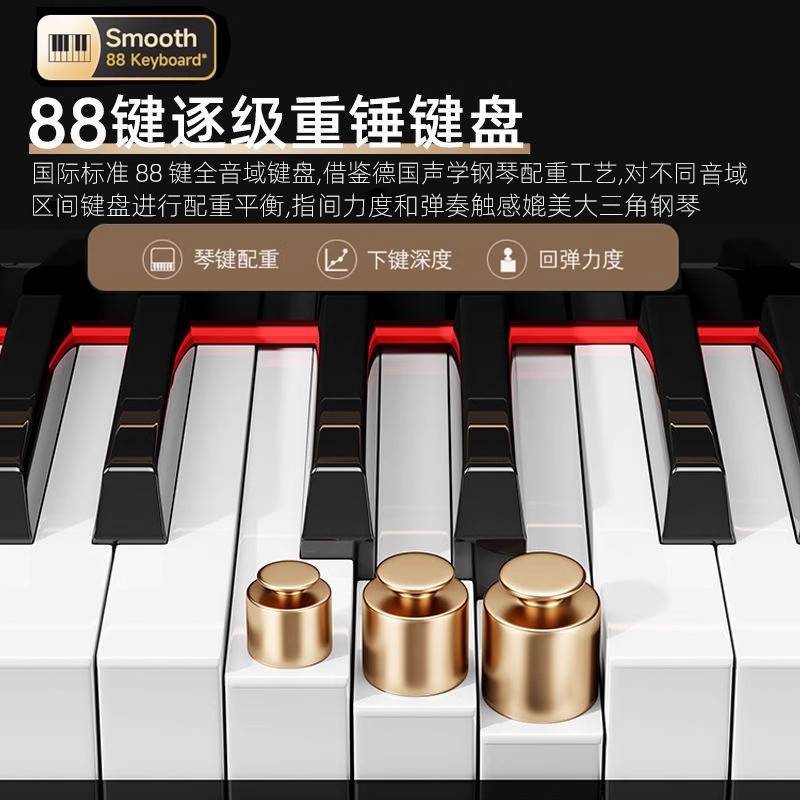 Piano à queue piano électrique - Smart Home Key avis et prix