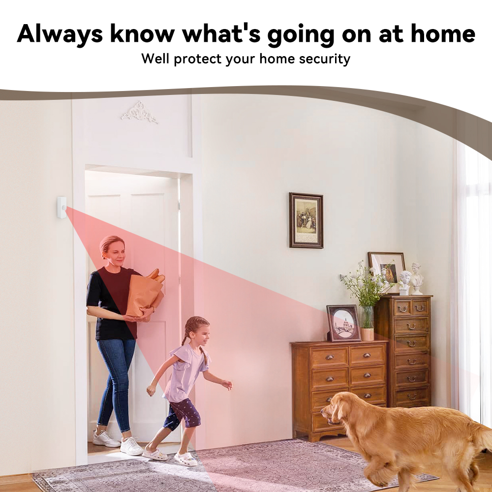 Détecteur de mouvement PIR int - Smart Home Wiser avis et prix