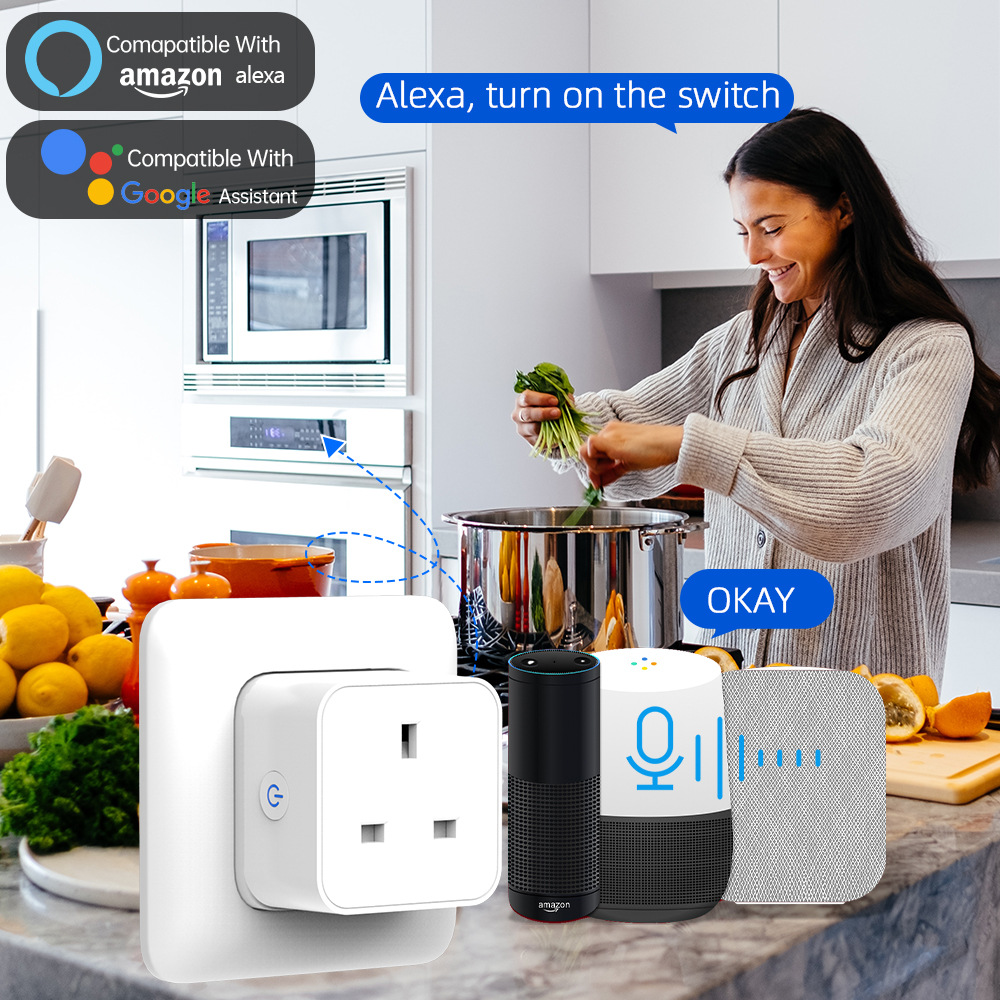 Prise intelligente Tuya 16A/20 - Smart Home Wiser avis et prix